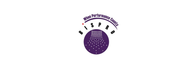 Bispro Consulting